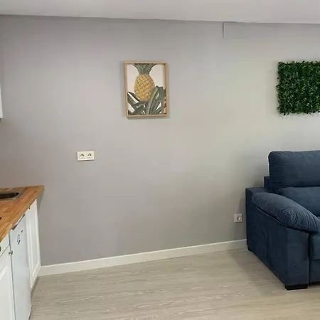 Apartment Agustina - Piso Centrico Reformado En Calle Peatonal *